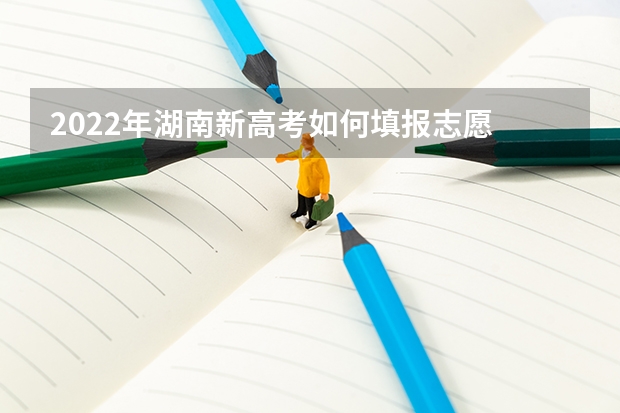 2022年湖南新高考如何填报志愿