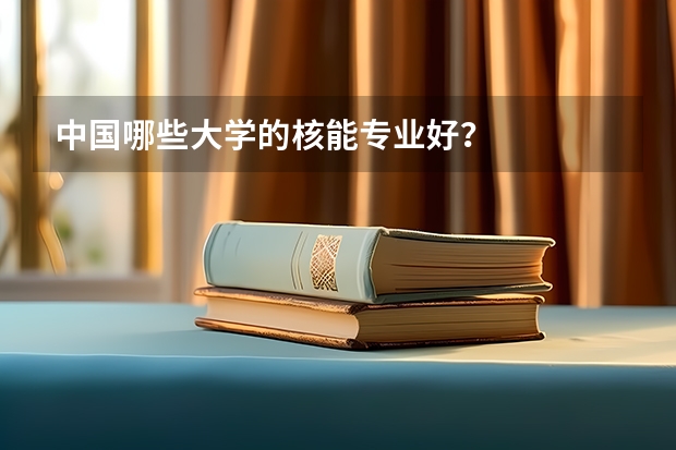 中国哪些大学的核能专业好？