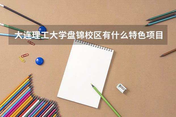 大连理工大学盘锦校区有什么特色项目或课程？