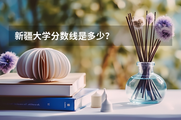 新疆大学分数线是多少？