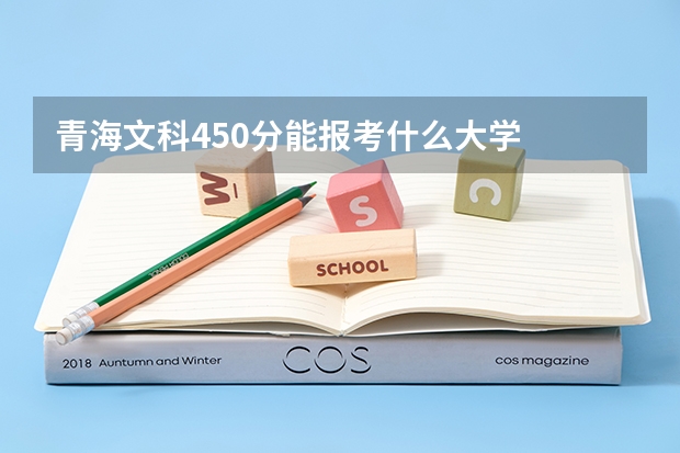 青海文科450分能报考什么大学