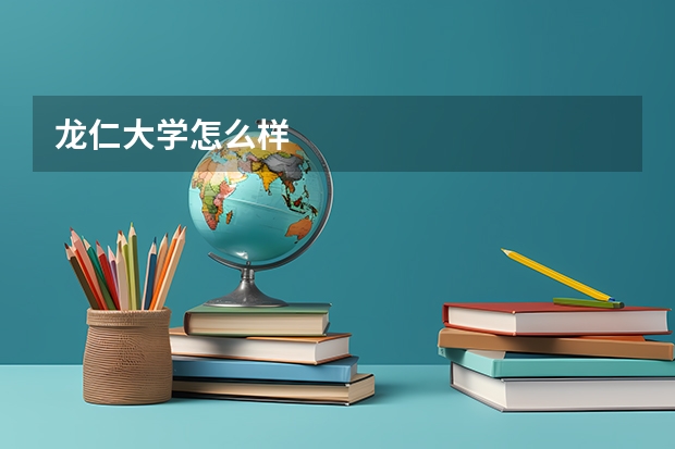 龙仁大学怎么样