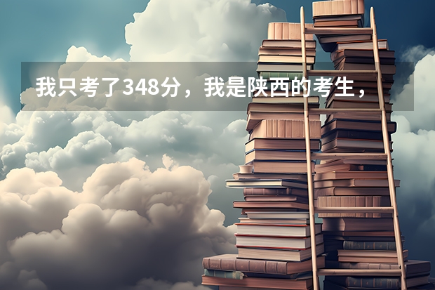 我只考了348分，我是陕西的考生，能上个什么的西安公办大学？