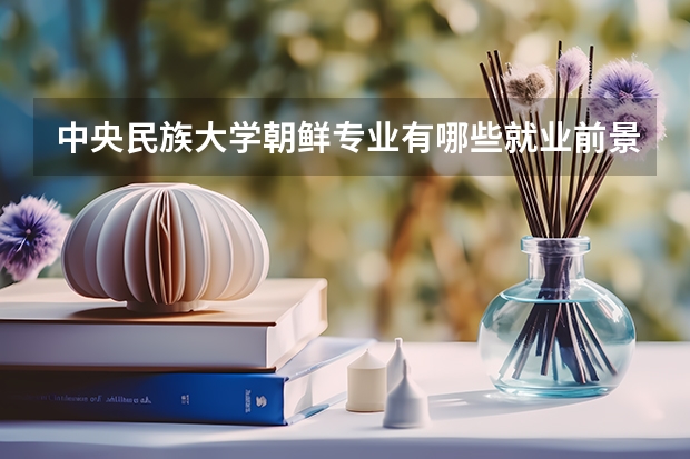 中央民族大学朝鲜专业有哪些就业前景？