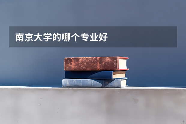 南京大学的哪个专业好
