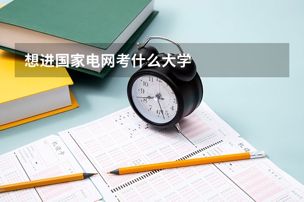 想进国家电网考什么大学