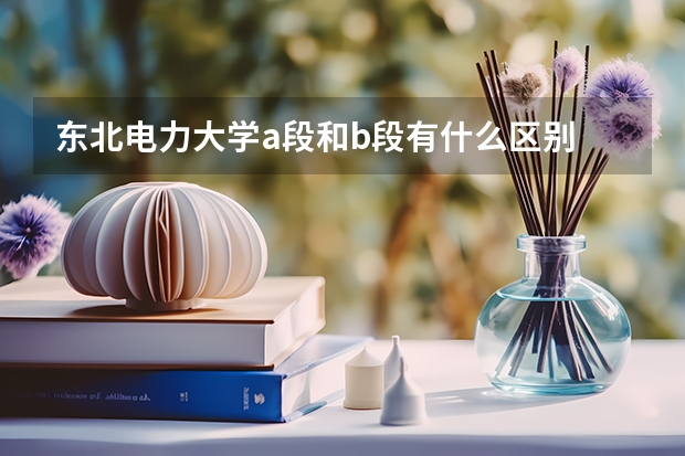 东北电力大学a段和b段有什么区别