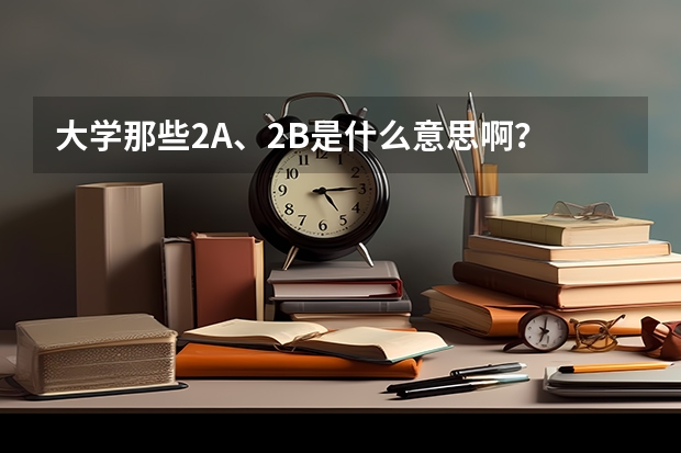大学那些2A、2B是什么意思啊?