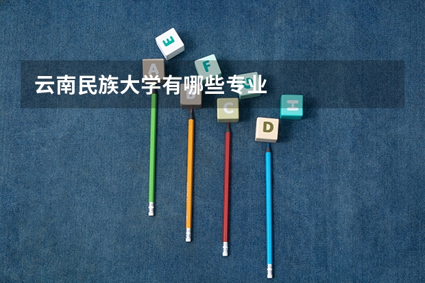 云南民族大学有哪些专业