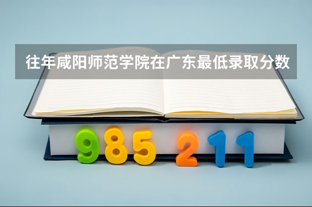 往年咸阳师范学院在广东最低录取分数参考