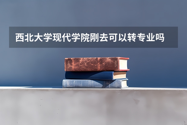 西北大学现代学院刚去可以转专业吗