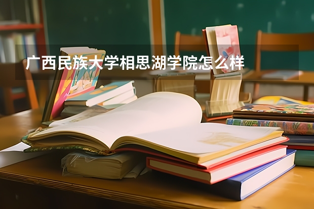 广西民族大学相思湖学院怎么样