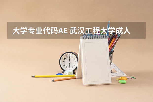 大学专业代码AE 武汉工程大学成人高考招生简章？