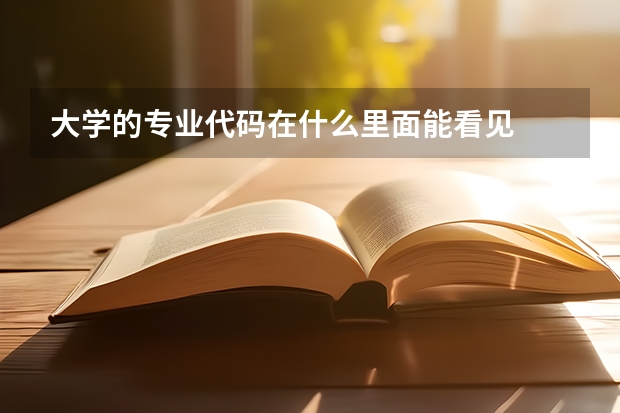 大学的专业代码在什么里面能看见
