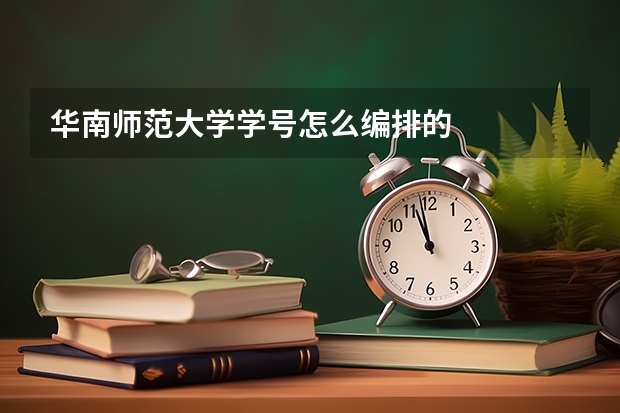 华南师范大学学号怎么编排的