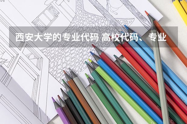 西安大学的专业代码 高校代码、专业代码