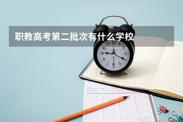 职教高考第二批次有什么学校