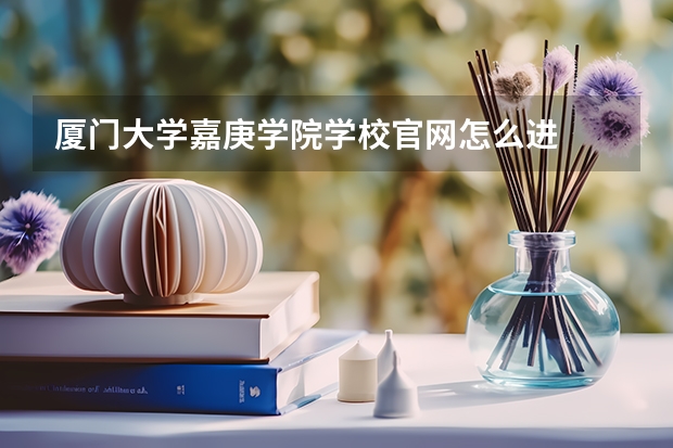 厦门大学嘉庚学院学校官网怎么进