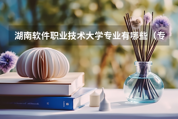 湖南软件职业技术大学专业有哪些（专业录取分数）